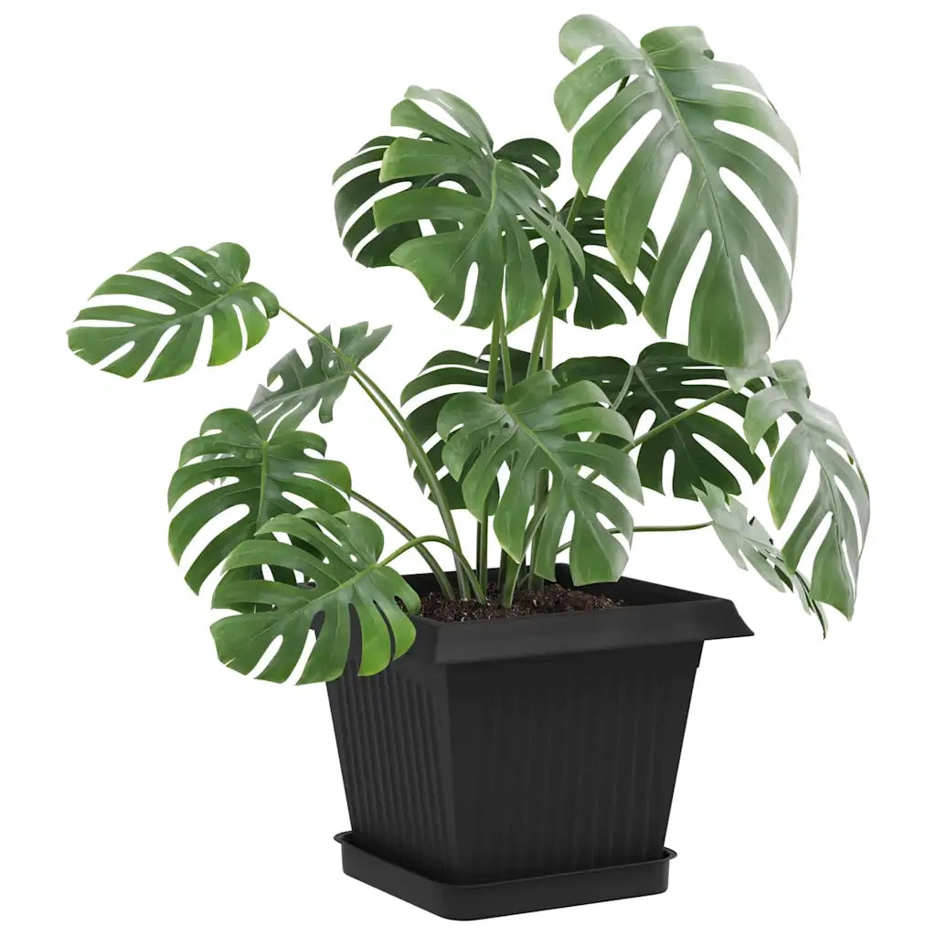 Vasi per Piante 24 pcs Nero 16 x 16 x 14 cm Plastica 3403311