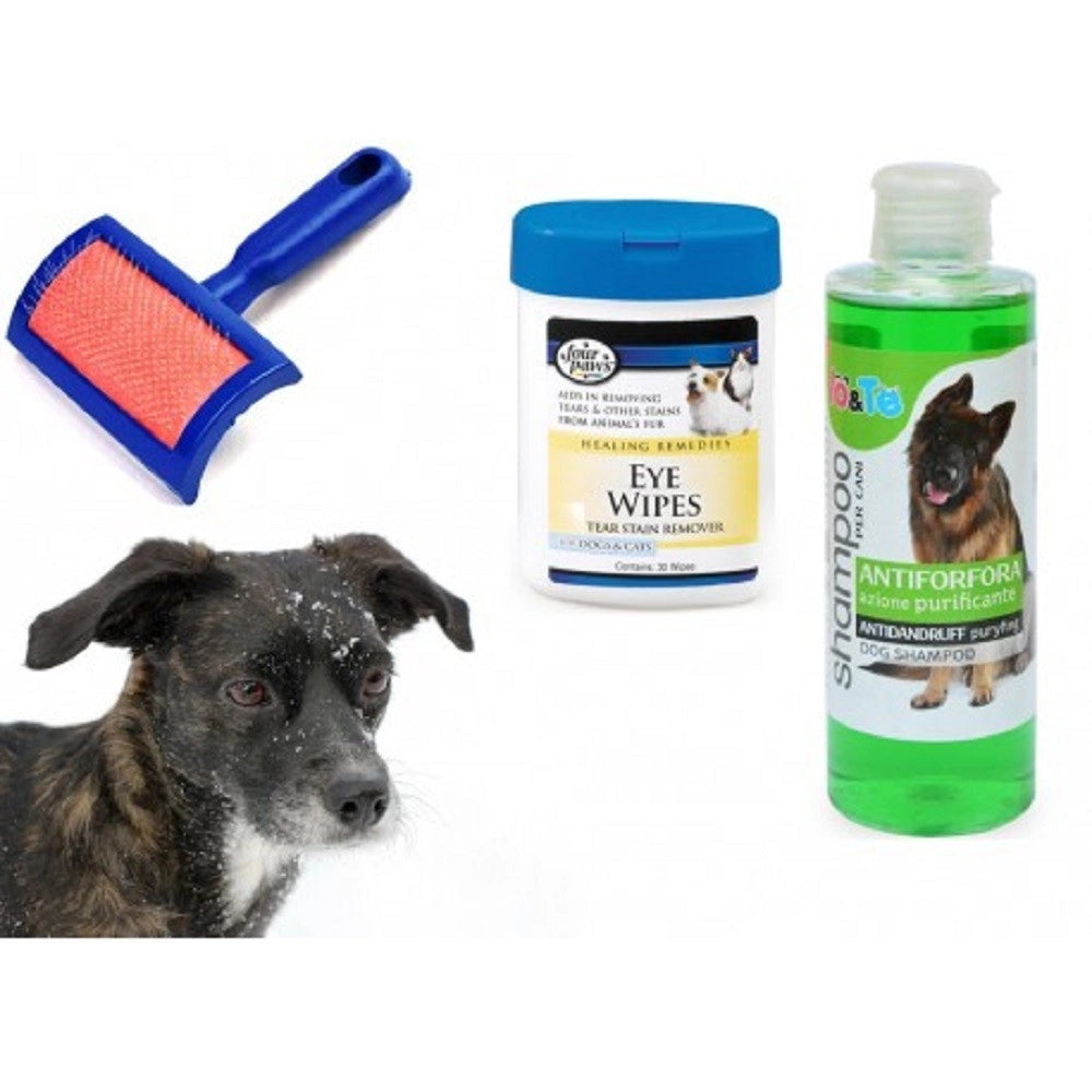 Trade Shop - Kit Pulizia Cani Shampoo Azione Purificante Salviettine Spazzola Cardatore Antiforfora -