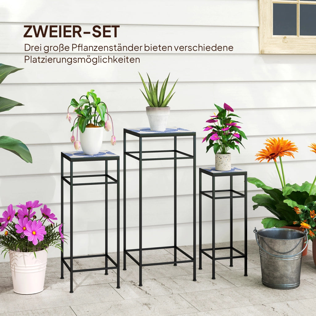 Set 3 piante ¨C zephmum ¨C blu e bianco