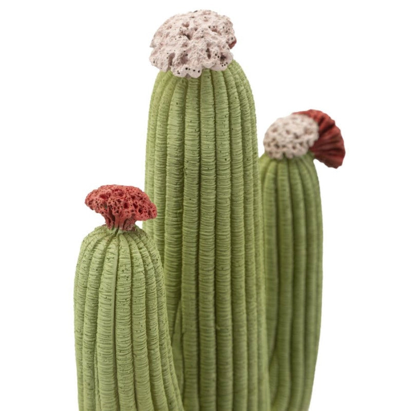 Cactus cm 16,5x11x45