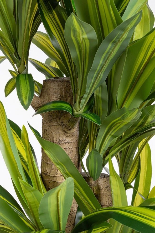 Set 2 Piante Artificiali Dracaena Ø110x150 cm in Plastica con Vasi Verde