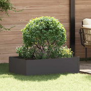Bordura per Prato 100 x 60 x 35 cm Acciaio Nero 8008945
