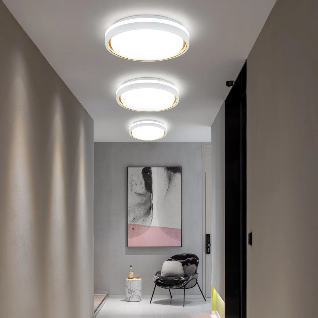 ZMH Lampada da soffitto plafoniera LED 30cm design moderno con telecomando