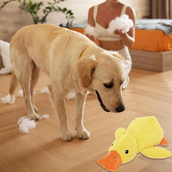 Giocattolo per cani Quack-Quack Anatra - Anatra anti-stress per cani, giocattolo morbido e simpatico con suono emettitore - Adatto per razze piccole, medie e grandi