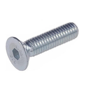 VITE P/FERRO TSPEI FILETTO TOTALE  4X10 ZINC UNI5933- AMBROVIT- 500,0 pz