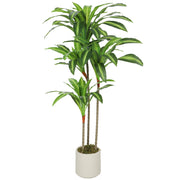 Pianta Artificiale Dracena ¨C Xylo ¨C Verde PEVA 60x40x120 cm