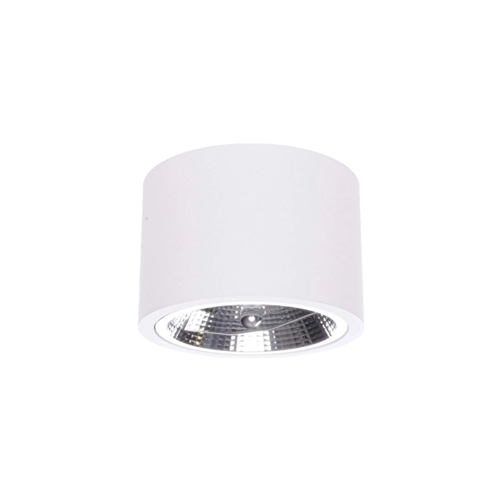 Spot da soffitto Camino ES111 bianco Light Prestige