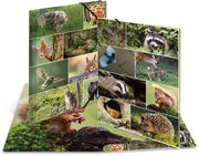 Elastomappe A3 Carta bos animali