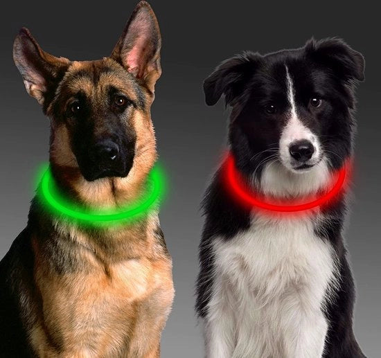 Collare per cani con luce - Luce per cani - Luce per uscita del cane - Lampada per cani