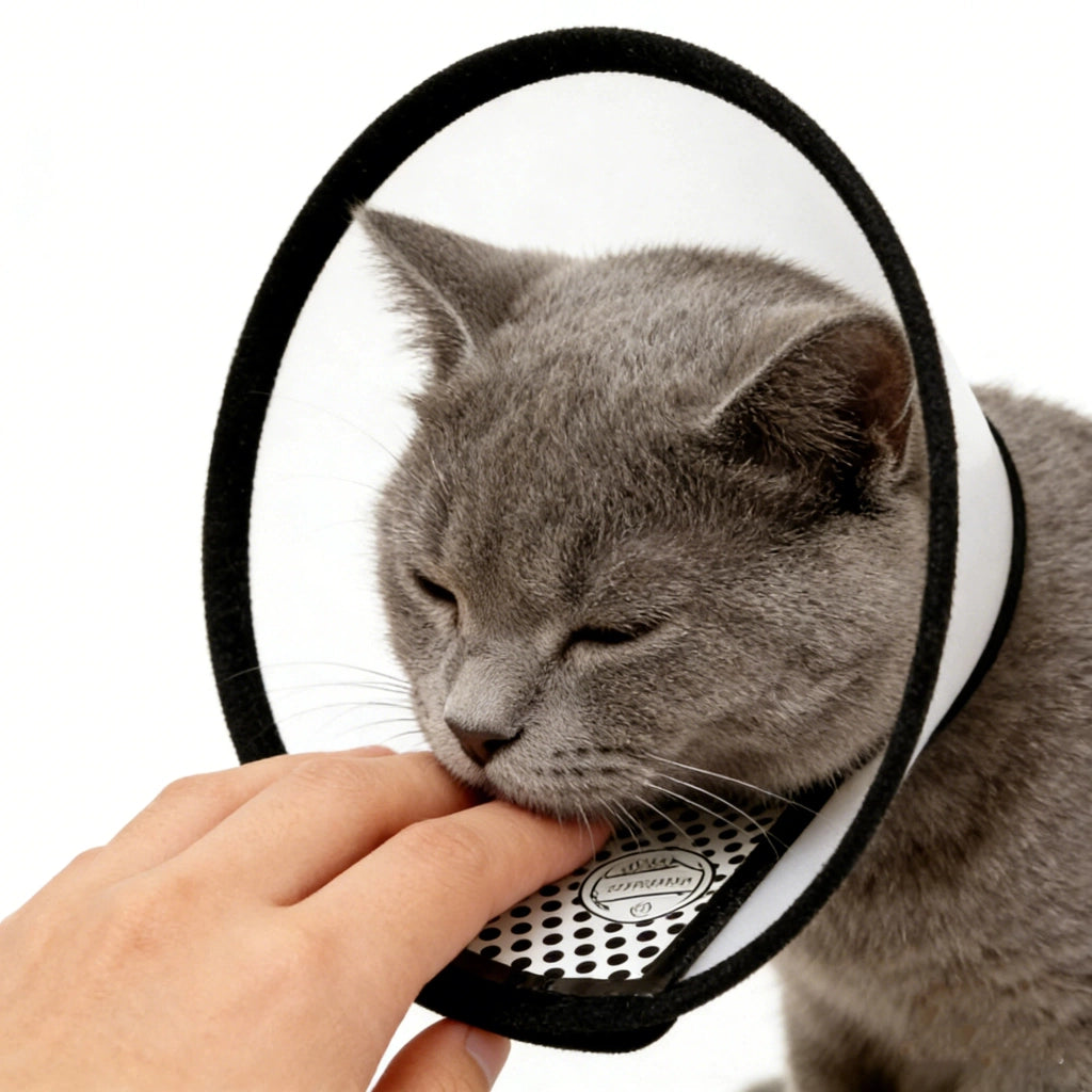 Collare Elisabettiano Regolabile per Cani e Gatti ¨C Zephmum ¨C Nero