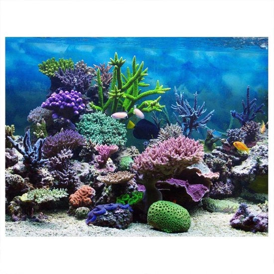 Decorazione per Acquario 3D - Poster PVC - Idrorepellente - Adesivo - Facile da Pulire (61 x 41 cm) - Decorazione per Acquario