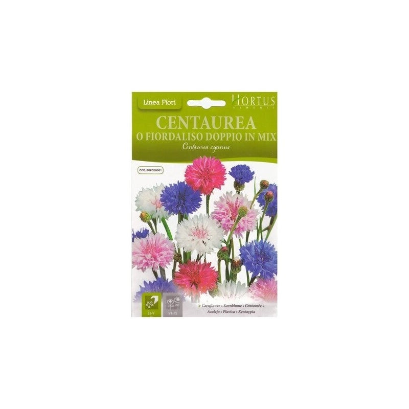 Centaurea o Fiordaliso doppio mix DB