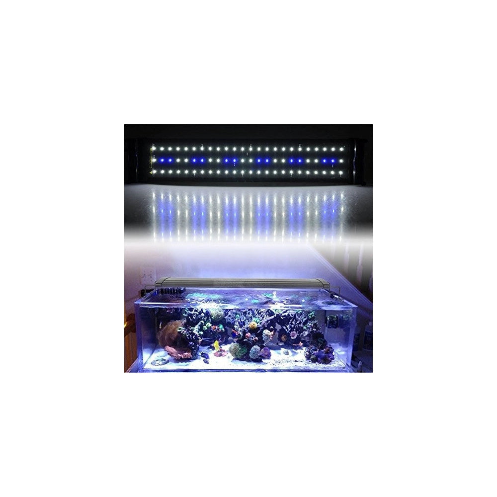 Trade Shop - Lampada Plafoniera A Led Per Acquari A Bordo Vasca Regolabile Luce Bianca + Blu -