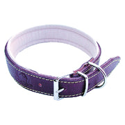 COLLARE PER CANE larg. mm 25 lung.cm 50  - BricoGo