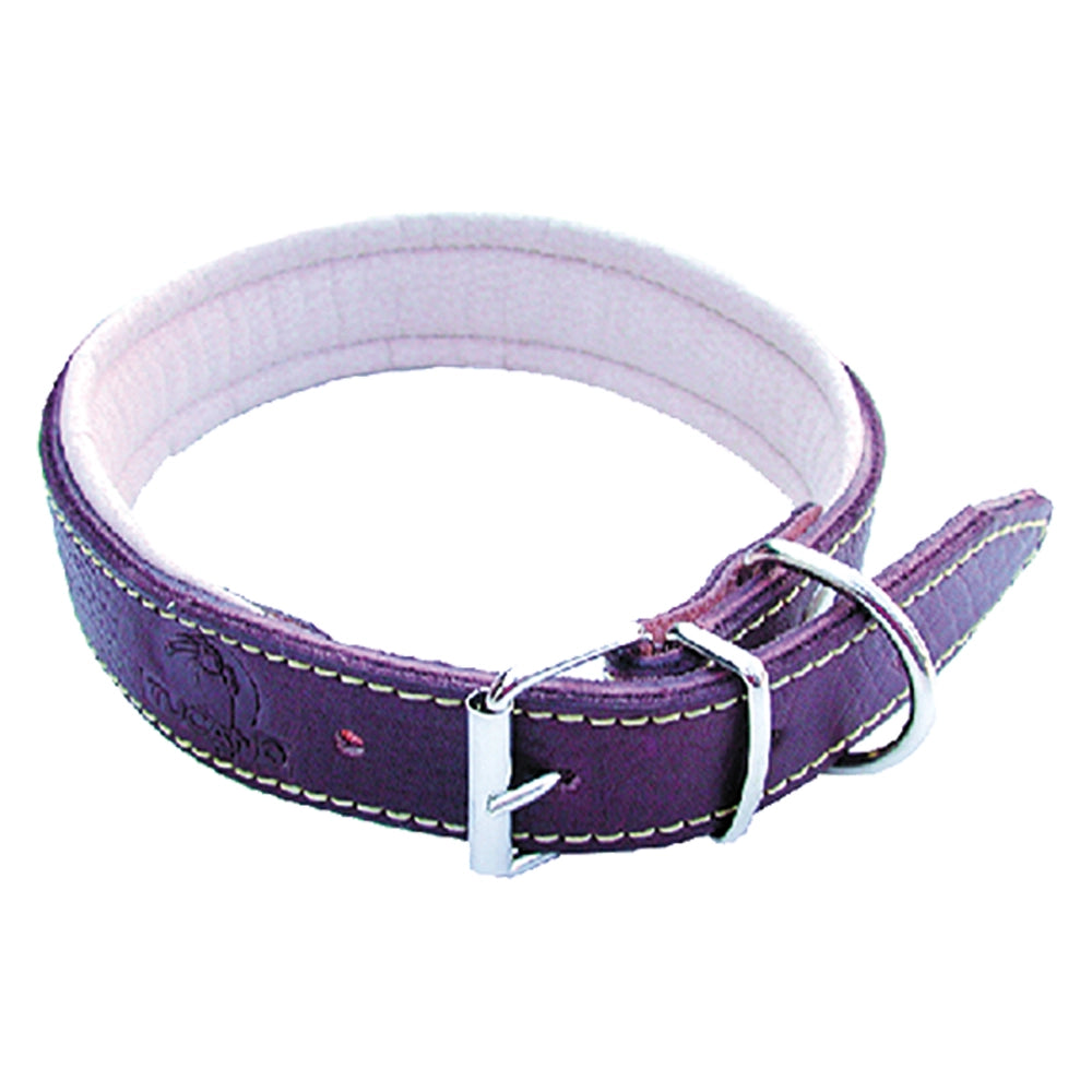 COLLARE PER CANE larg. mm 25 lung.cm 50  - BricoGo
