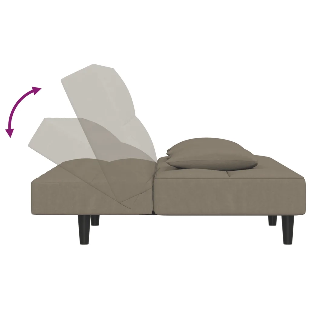 Divano Letto a 2 Posti con 2 Cuscini-Sofa Letto 2 Posti-Daybed Grigio Chiaro in Velluto 471802
