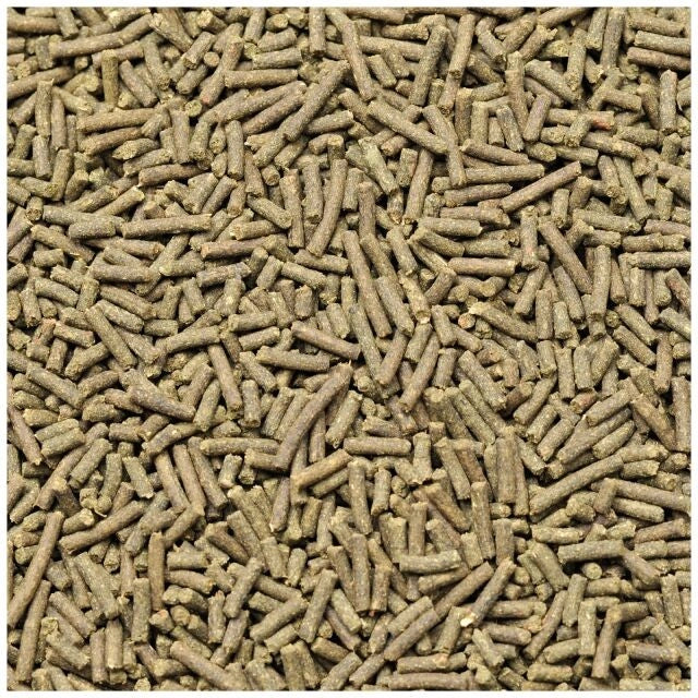 Dennerle Shrimp King Cambarellus 45gr - Mangime per gamberi nani