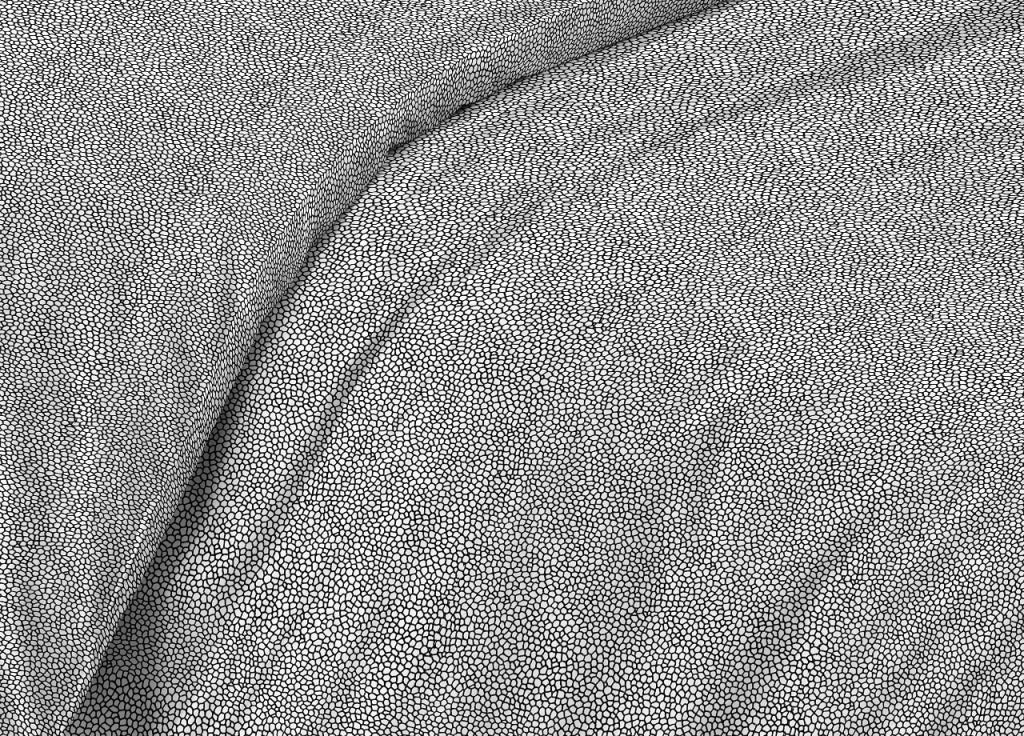 Completo Lenzuola Letto Camera In 100% Cotone Made Italy Vari Disegni RP - 2 Piazze - Benedetta Nero