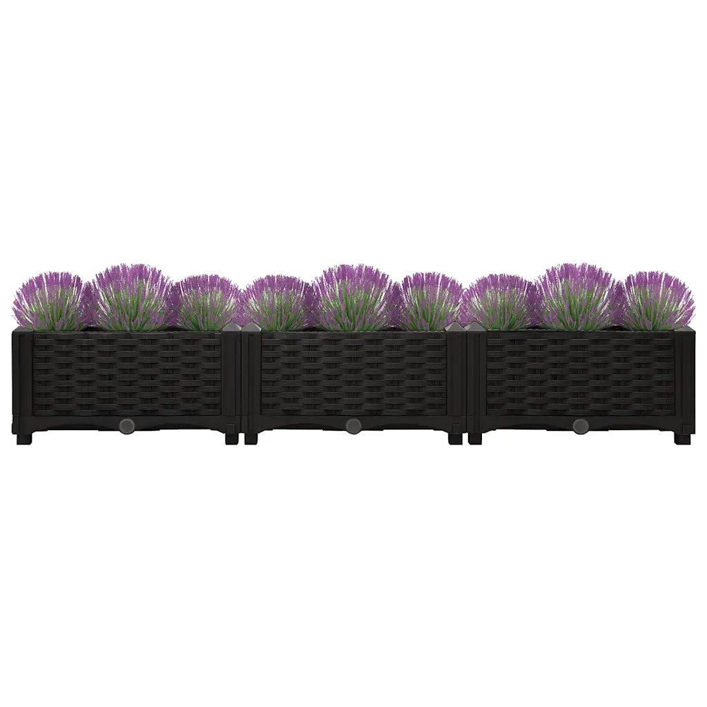 Fioriera | Cassetta per fiori | Vaso Rialzata 120x40x23 cm in Polipropilene