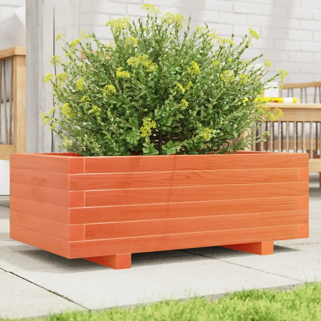 Fioriera | Cassetta per fiori | Vaso Giardino Marrone Cera 70x40x26,5cm Legno Massello Pino