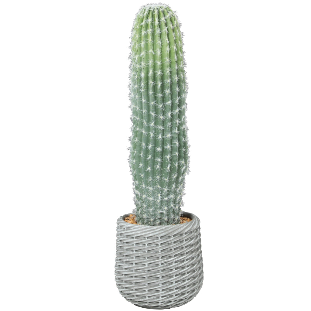 Pianta Artificiale Cactus ¨C zephmum ¨C Verde 66 cm