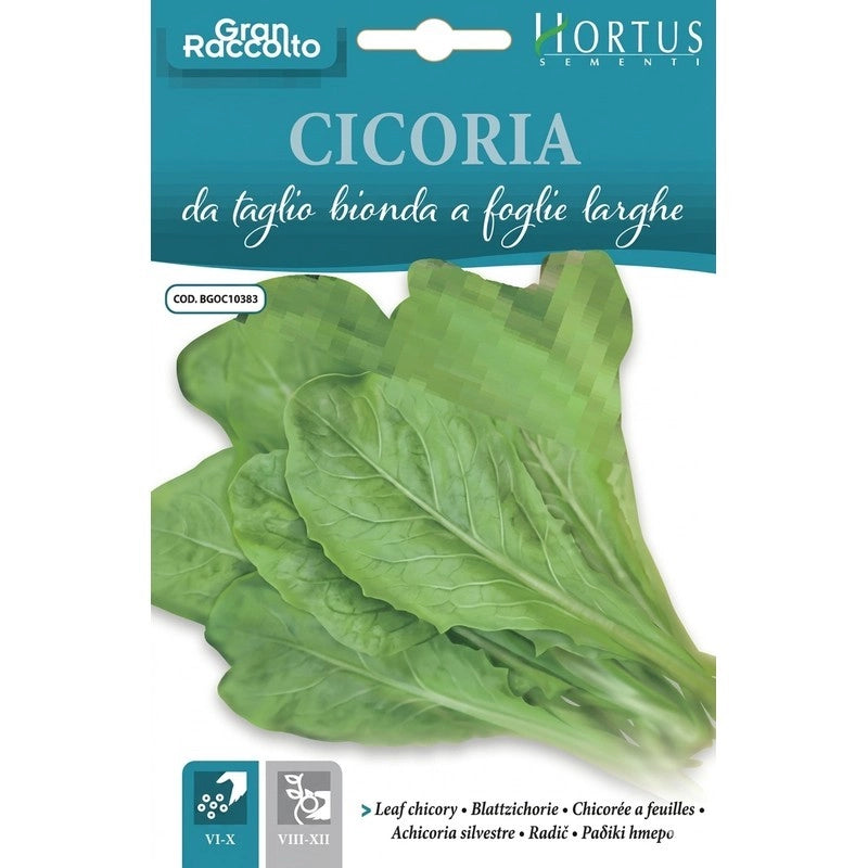 Cicoria taglio bionda a foglie larghe Gran Raccolto