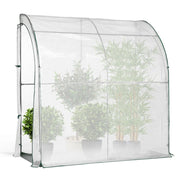IDMarket - Serra invernale a parete 80 x 200 cm