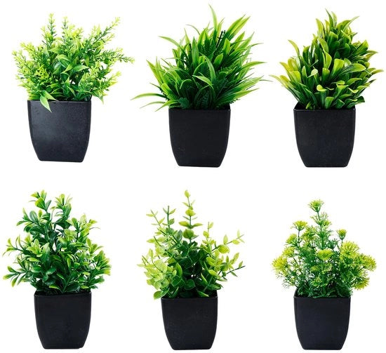 Set di sei piccole piante decorative per casa, ufficio e bagno