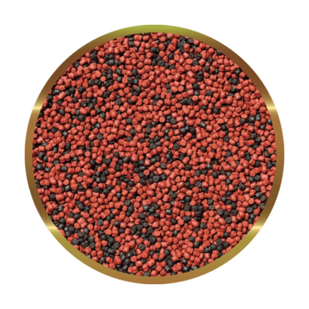 SHG Premium Marino Formato: 500 gr