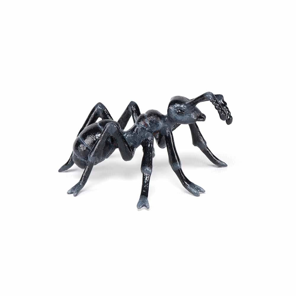Papo - Ant