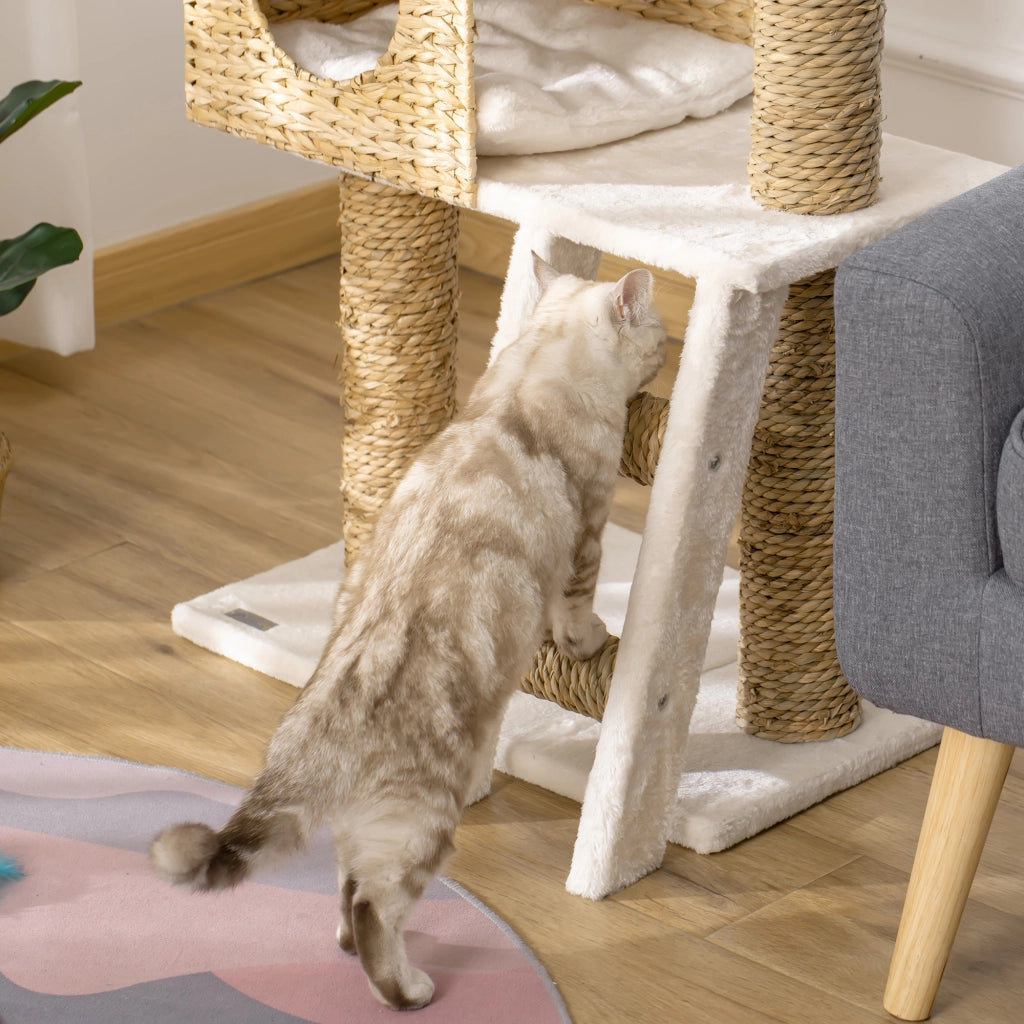 Albero per gatti con cuscini e scala ¨C zephmum ¨C grigio 100.5 cm