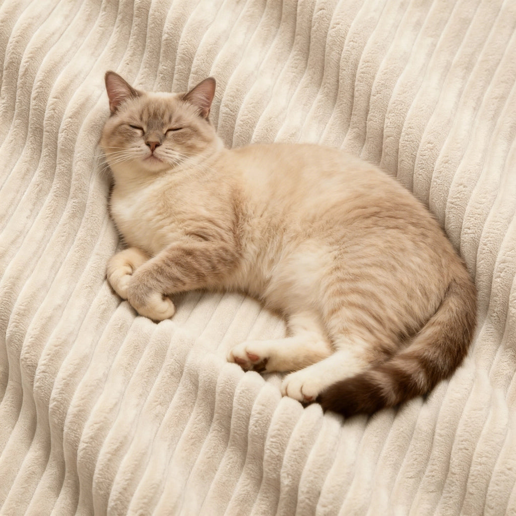 Divano Angolare Modulare 3 Posti con Pouf ¨C Xylo ¨C Beige, Tessuto Cord, con Dormeuse
