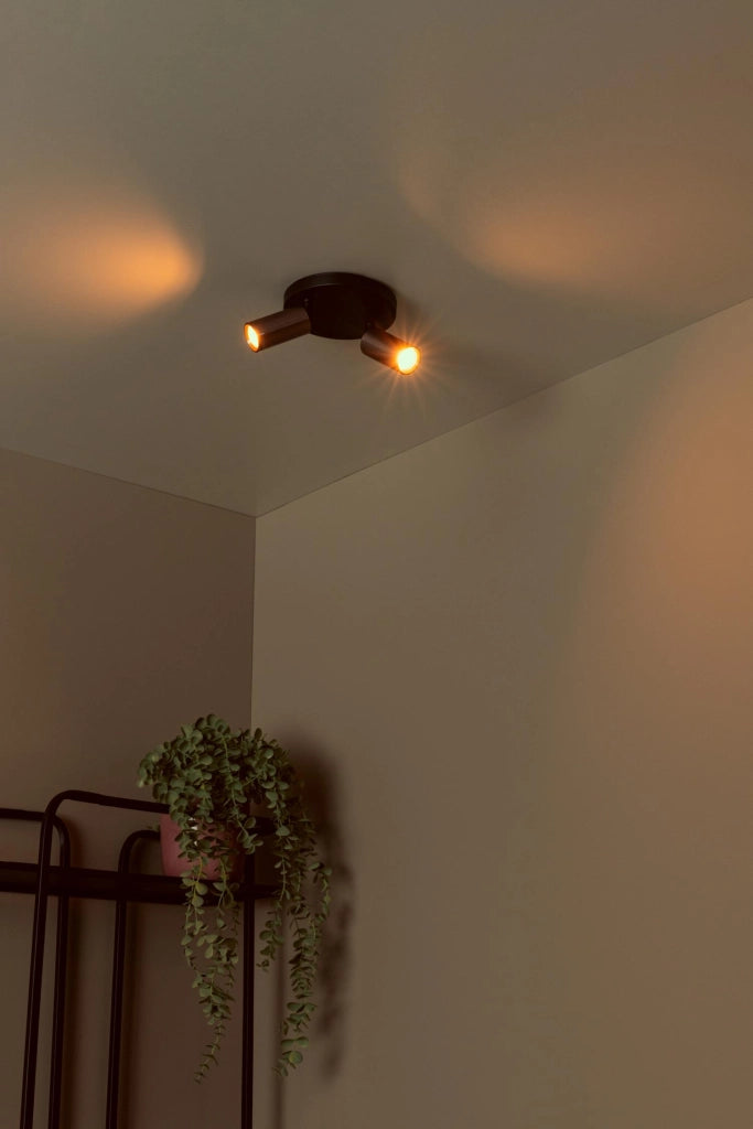 Faretto da soffitto Ritmo 2x MR11 bronzo/nero Lucide