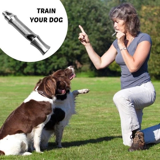 Recupero Acustico per Cani 120db per Camminata, Campeggio e Caccia