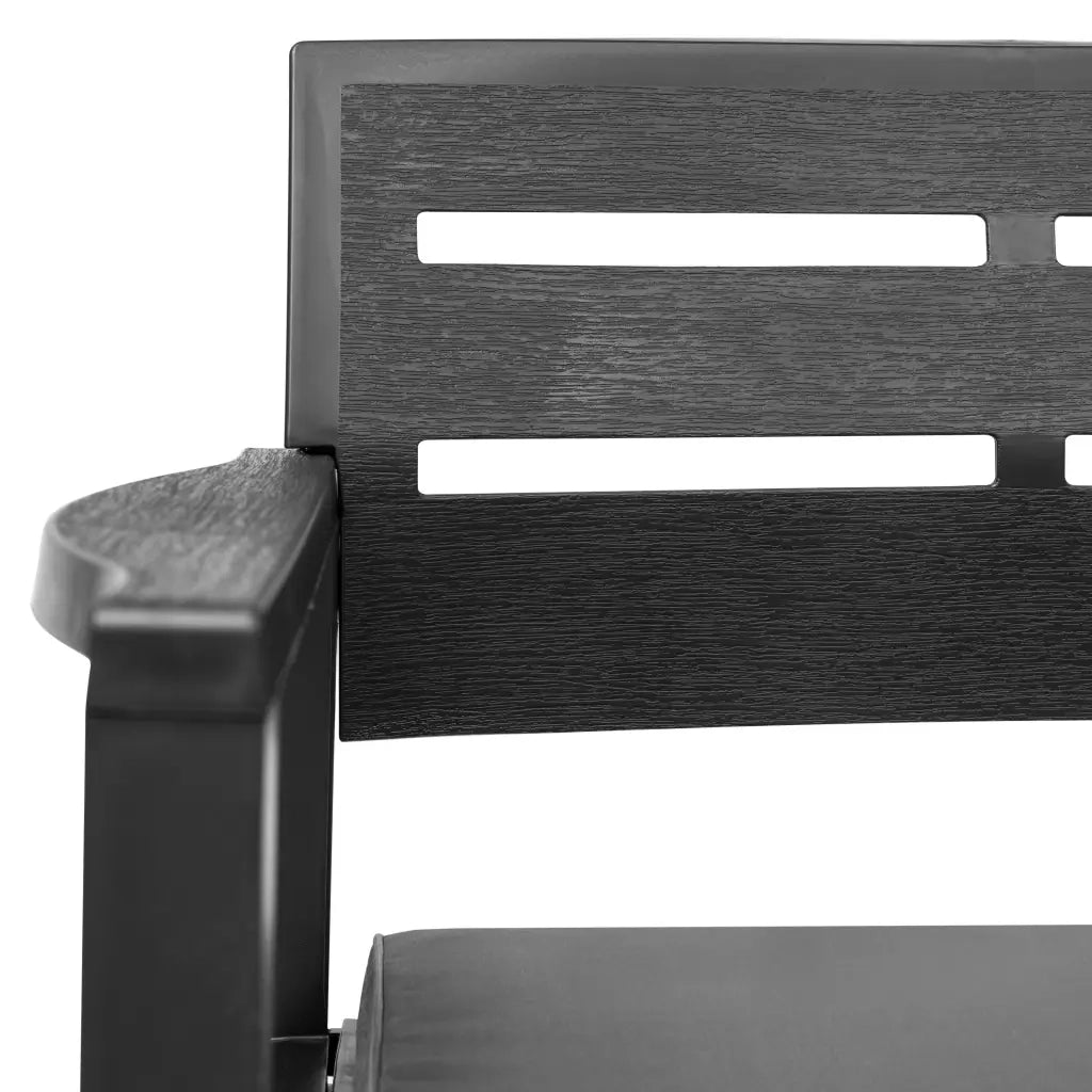 Panchina Giardino 2 Posti con Cuscini 133 cm Plastica Antracite 45623