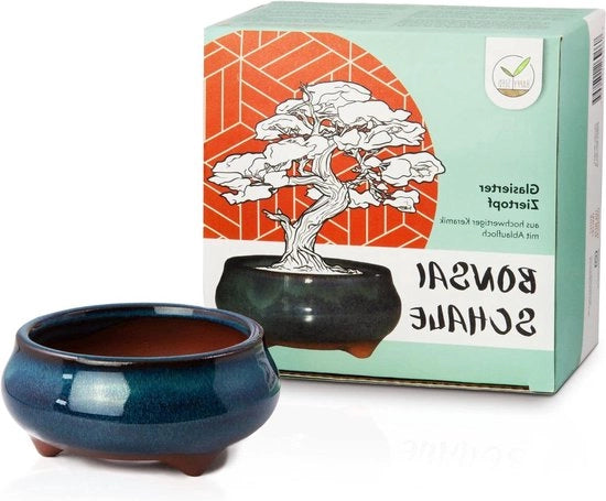 Scaletta per bonsai rotonda - ideale per bonsai da interni - 1 pezzo - blu marino - ceramica - 9 x 4,5 x 9 cm