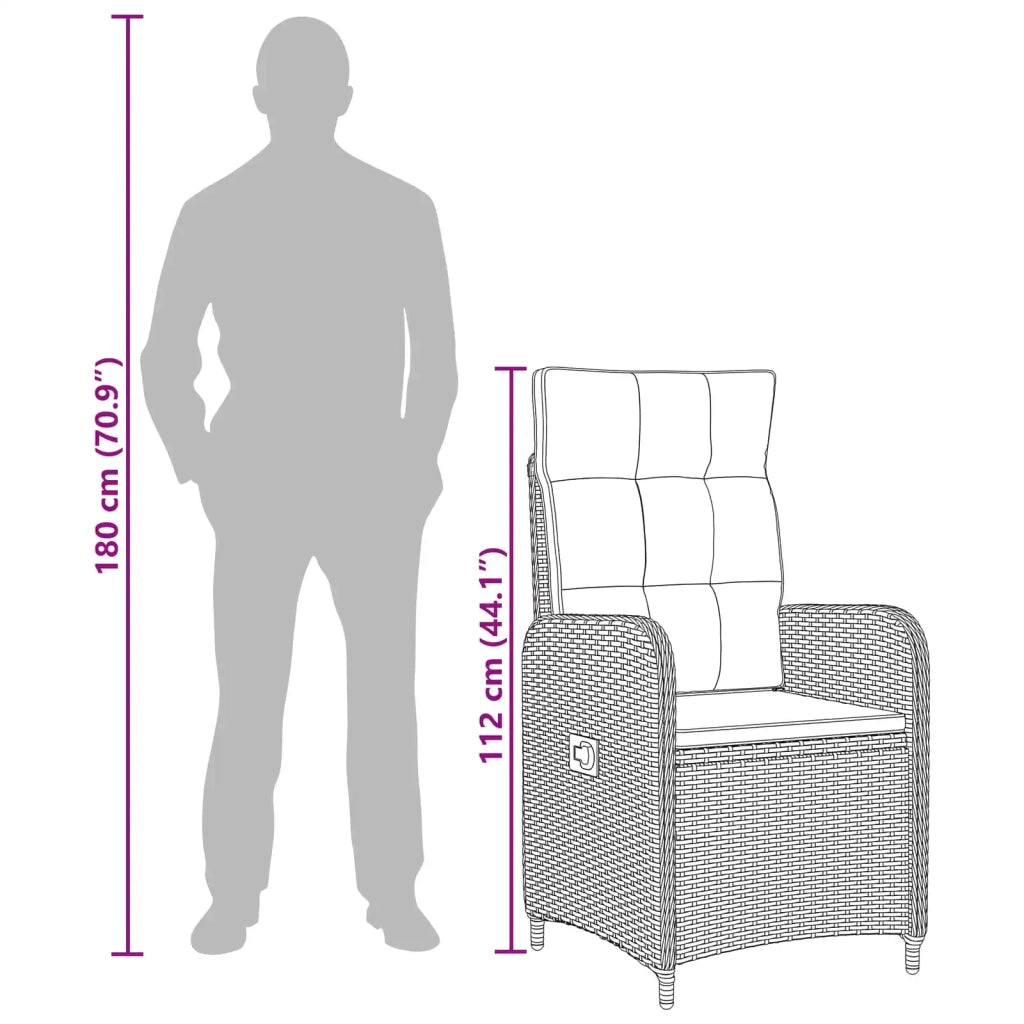 Sedia da Giardino | Sedie da Esterno reclinabile Nero polyrattan