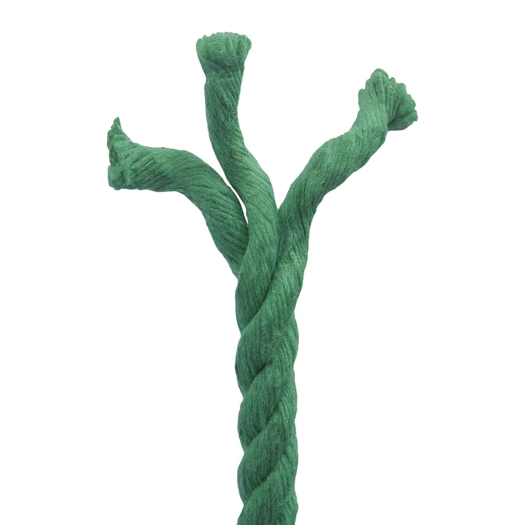 Corda Verde 1 x 1 x 25000 cm Cotone 42011959