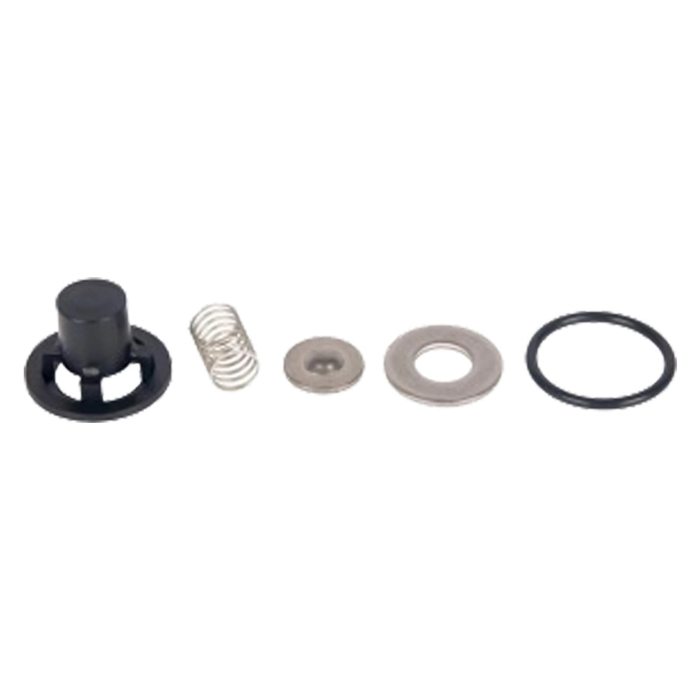VALVOLE PER MOTOPOMPA IRRORATRICE kit 4 pezzi  - COMET