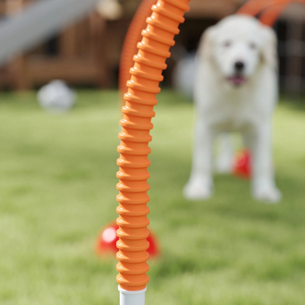 Set Agility per Cani 4 Pezzi con Porte Regolabili ¨C zephmum ¨C Blu