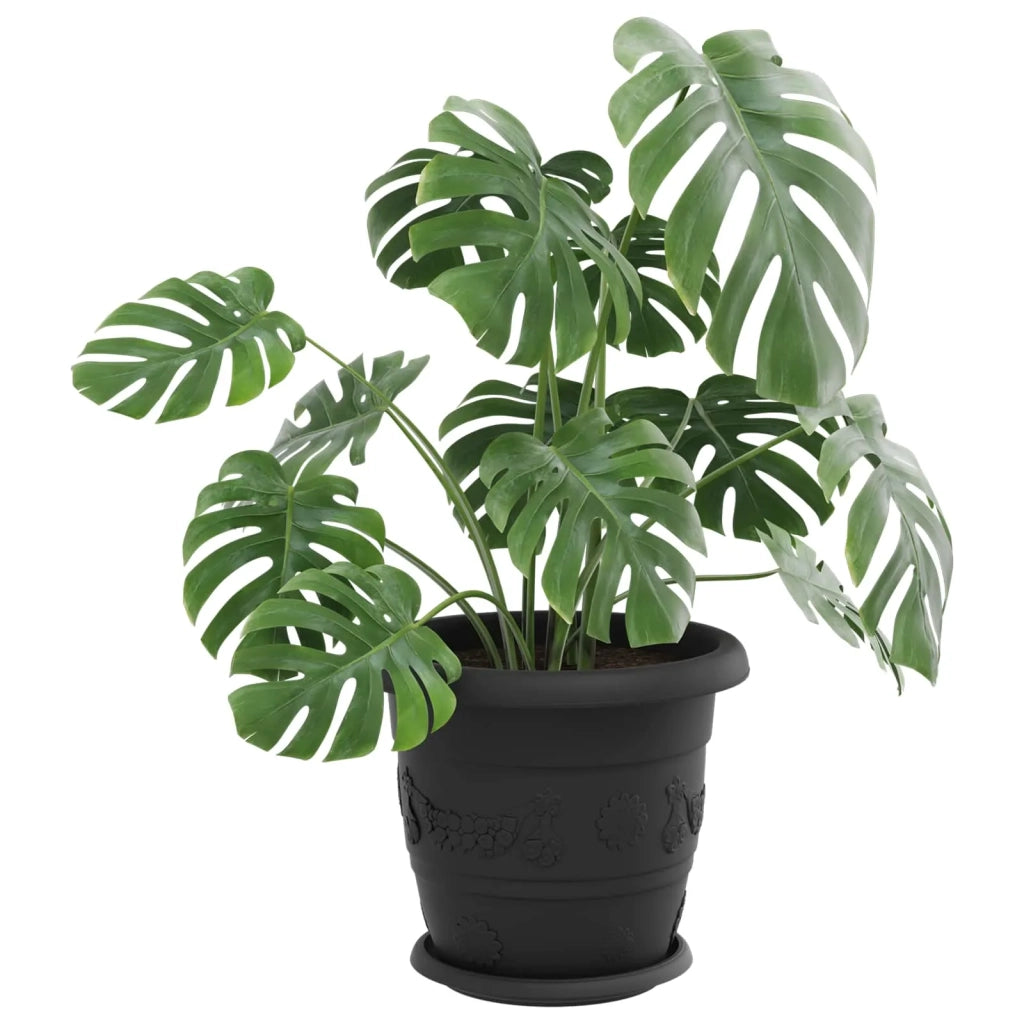 Vasi per Piante 6 pcs Nero Ø 30 x 25 cm Plastica 3403277