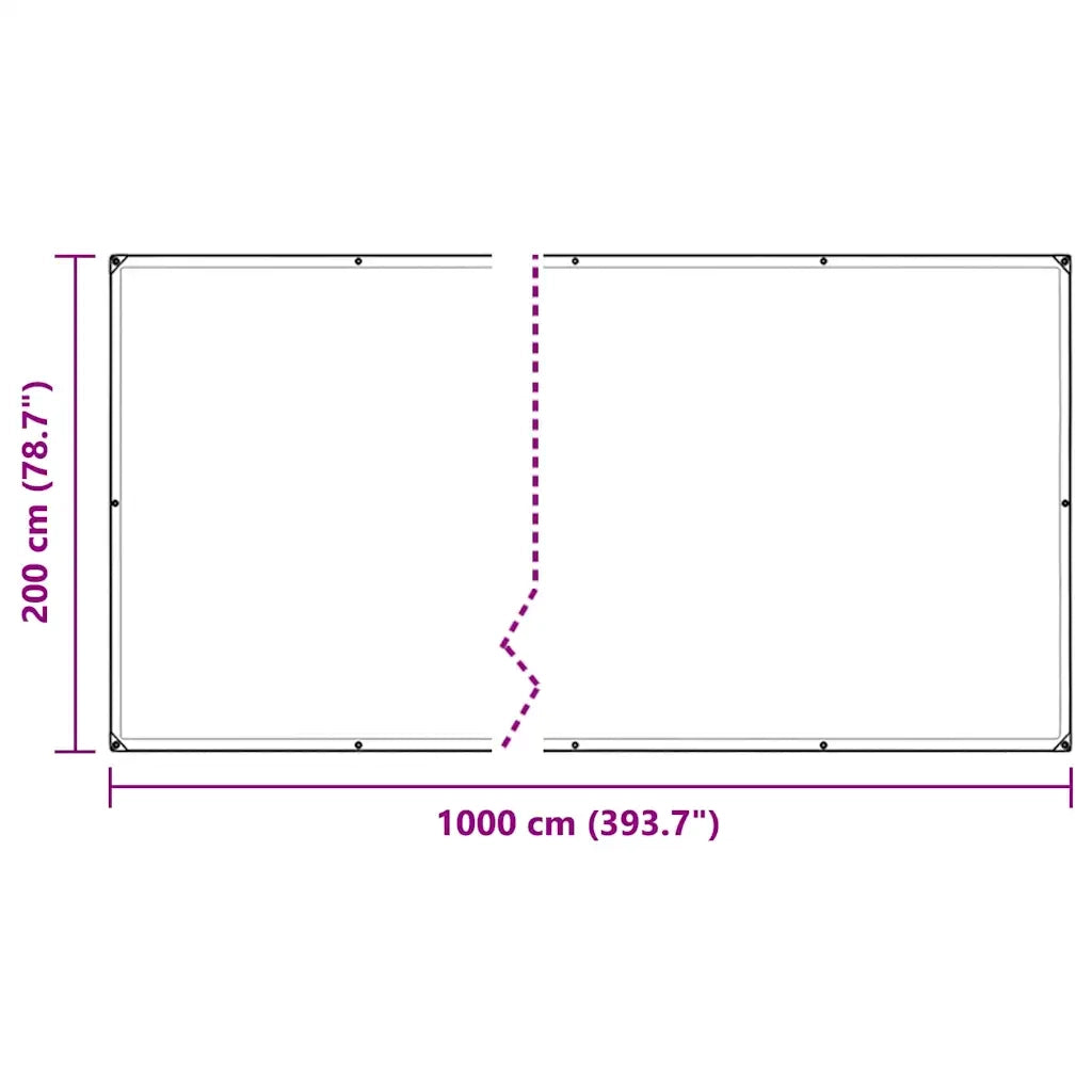 Telone Trasparente con Occhielli 2x10 m in PVC