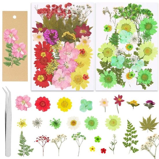 Set di Fiori Secchi 65 Pezzi - Foglie di Fiori Stampate - Cartellini in Legno - Spillini - Materiali per Artigianato DIY - Decorazione Naturale - Materiale Fiorale