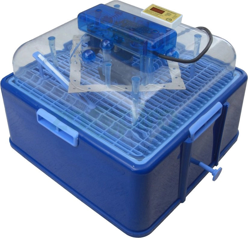 INCUBATRICE DIGITALE 'AF-50' -