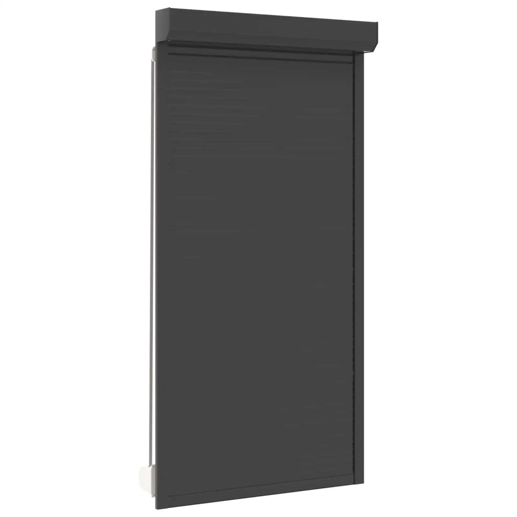 Persiana a rullo Antracite 110 x 220 cm Alluminio e poliuretano 42047070