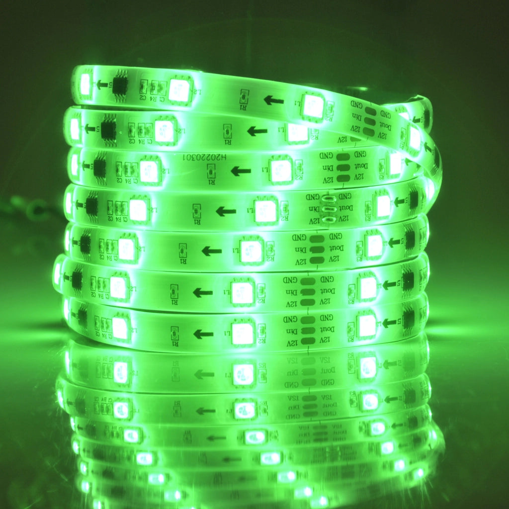 Kit striscia LED MAGIC RGB 5m 12V IP65 con telecomando