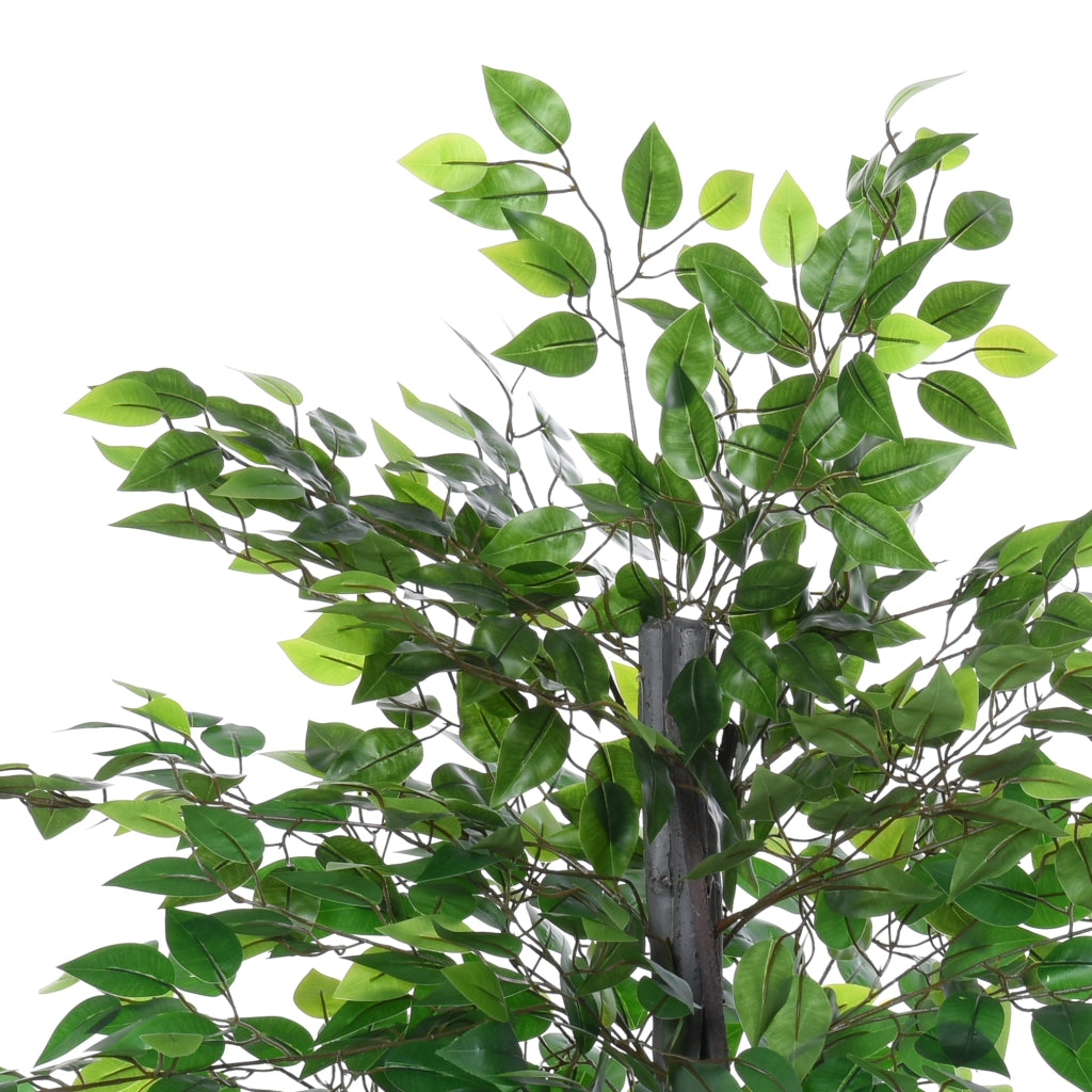 Pianta Artificiale Ficus ¨C Xylo ¨C H.145 cm con Tronco Rami Licheni Foglie Vaso Incluso