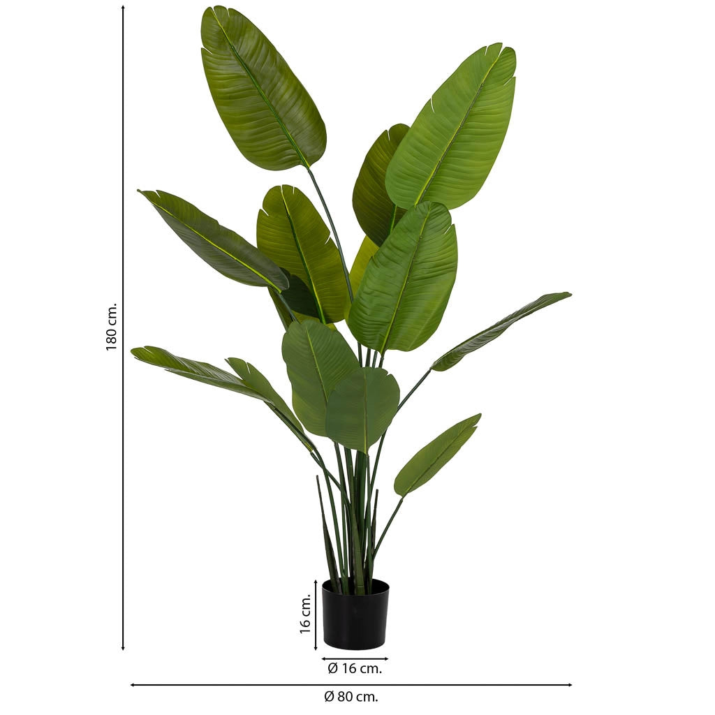 Sterlitzia decorativa artificiale verde 80x80x180