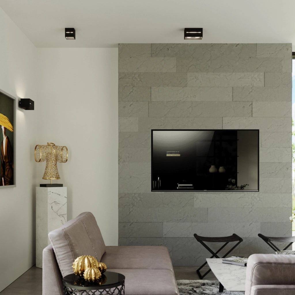 Lampada da soffitto LOBO 2 nero