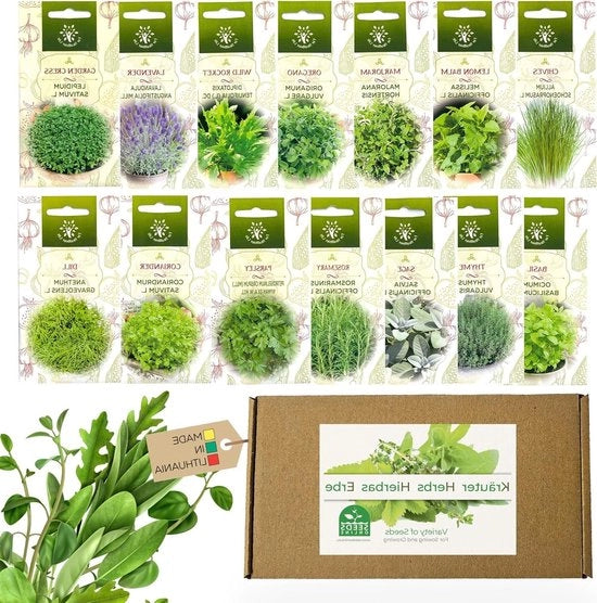Collezione di semi di piante - 14 varietà - Semi di piante biologici - Senza OGM - Set di semi di piante aromatiche - Semi di piante - Scatola di semi di Nojus